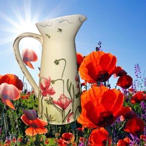 Scribe Poppy Pitcher Coldwater Creek